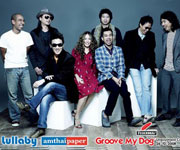 Groove My Dog Unplugged Concert